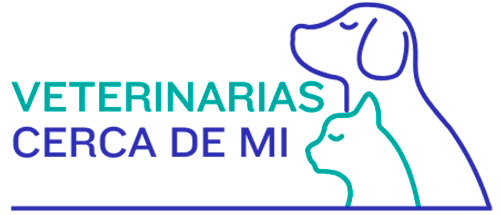 Veterinarias en Perú: Cerca de Mi